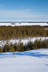 Finnish winter landscape with forest and frozen lakes