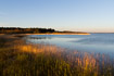Sunrise over reedbeds at a Danish lake