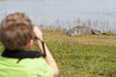 Little boy looking at an American Crocodile at a safe distannce.