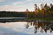 Finnish forest lake