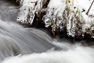 Small stream with icicles