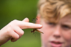 Boy looking at the dragonfly species called Scarce Chaser