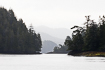 Misty morning in Clayoquot Sound, Tofino, Vancouver Island, British Columbia