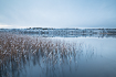 Winter morning by lake