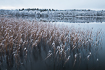 Winter morning by af Danish Lake