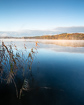 Autumn image from lake Knuds in the Danish Lakelands