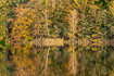 Autumn mood in the Danish Lake Highlands