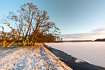 Winter morning by the Danish lake Moss