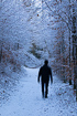 Winter forest walker