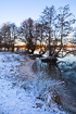 Winter morning at lake Moss in Denmark