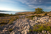 Dry coastal area on the croatian island Krk