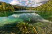 Crystal clear lake in Plitvice National Park in Croatia