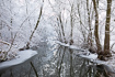 Danish stream in winter conditions