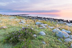 Coastal landscape on the small island Hirsholm