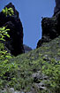 The vegetation in the valley Barranco del Infierno