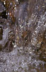 Closeup picture of a little waterfall in a little stream