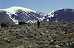 The lonely wanderer heading against one of Norways highest mountains - Mount Glittertind