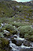 Small waterfalls in a small stream running down a mountainside