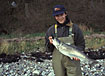 4-kilos Seatrout in the hands of the lucky angler