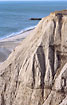 Cliffs at Bovbjerg