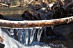 Ice covered stick at a little stream