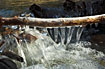 Ice covered stick at a stream