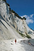 The limestone cliffs at Mns Klint
