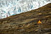 The glacier and the warning signs