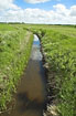 This is how streams are supposed to look like according to the danish farmers