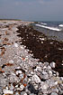 Glatved Strand (with stranded waste in the foreground)