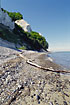 Driftwood in front of Mn`s Klint