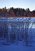 Lake Hampen in the winter