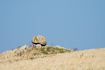 A neolithic dolmen against the pale blue sky