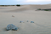 The sand dunes in Maspalomas