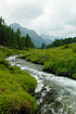 Mountain stream in the Dolomites