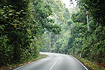 The road through the Khao Yai national park