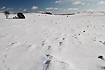 Randbol Heath covered in snow