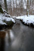 Stream runs through the snow-covered forest