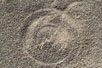 The dry vegetation makes strange marks in the sand