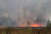 Forest fire in Gyttegrd Plantation 30/4 2011 - 6 minutes after the fire had been discovered
