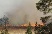 Forest fire in Gyttegrd Plantation 30/4 2011 - 5 minutes after the fire had been discovered