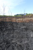 Singed raised bog after the forest fire in Gyttegrd Plantation in 2011