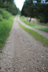 Forest track/gravel road with a very shallow depth of field