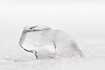 A small piece of ice in the snow almost shaped as a muskox