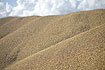 A mountain of grain (Rye)