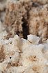 Closeup of the halite salt crystals in Devils Golf Course in Death Valley