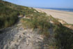 Wide, sandy beach and sand dunes at Blokhus, Denmark