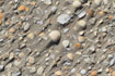 Sea shells and windswept sand