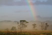 Rainbow and mist at Vejle Aa