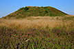 Bronze age burrial mound with heather blooming in the foreground (Firehje at Randbl)